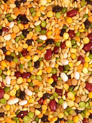 mixed beans and seeds