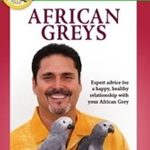 african greys poster