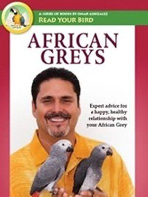 african greys poster
