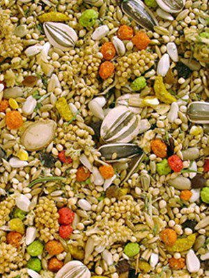 A close up of a Small Bird Premium 1 lb. of mixture of seeds and nuts.