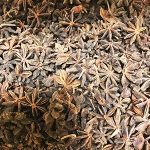 A pile of dried Star Anise 1 lb. on a table.