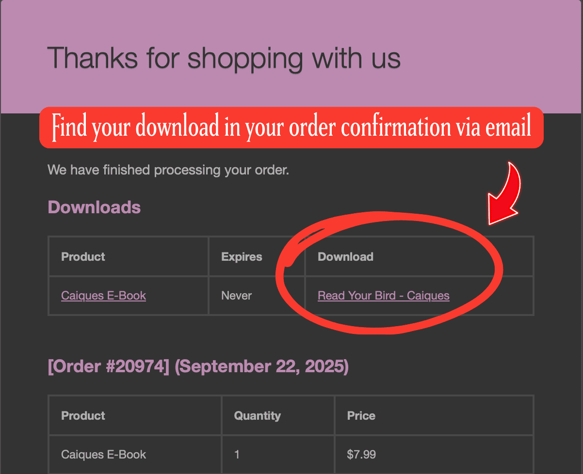Example order confirmation showing where to find your e-book download link